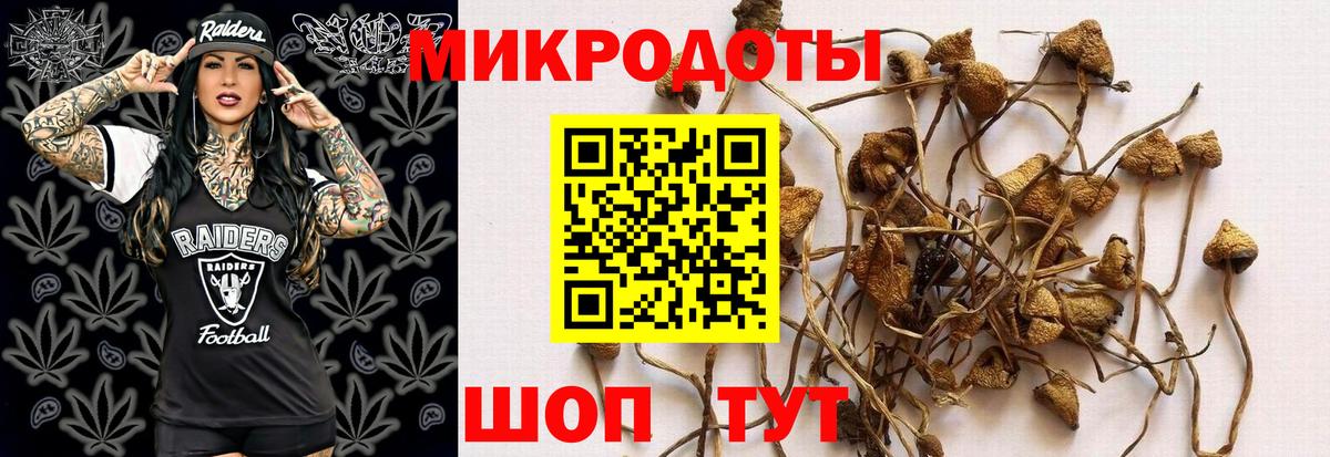 Псилоцибиновые грибы Cubensis Свободный