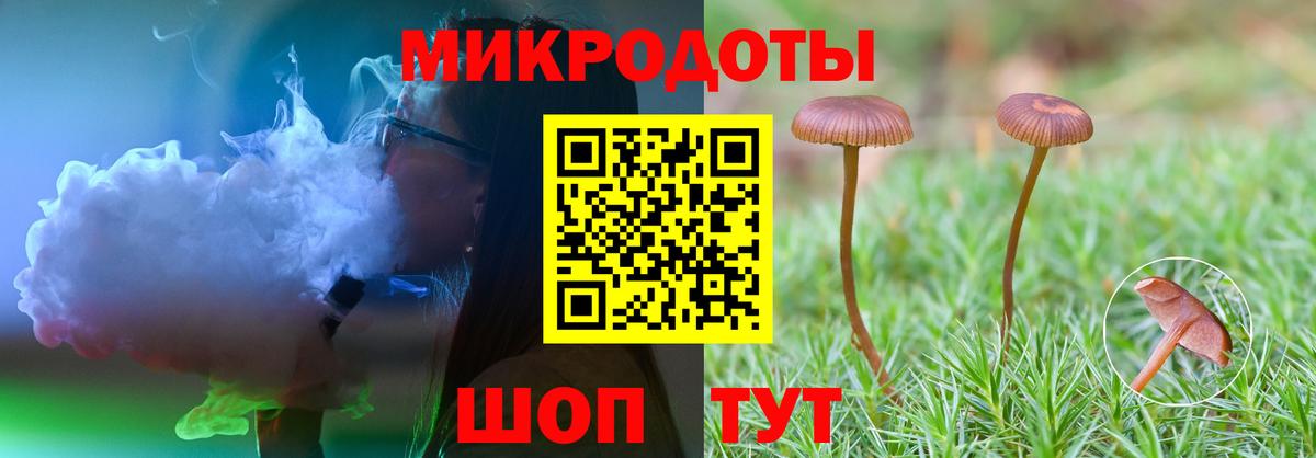 Псилоцибиновые грибы Psilocybine cubensis  магазин    Свободный  Вход с VPN 